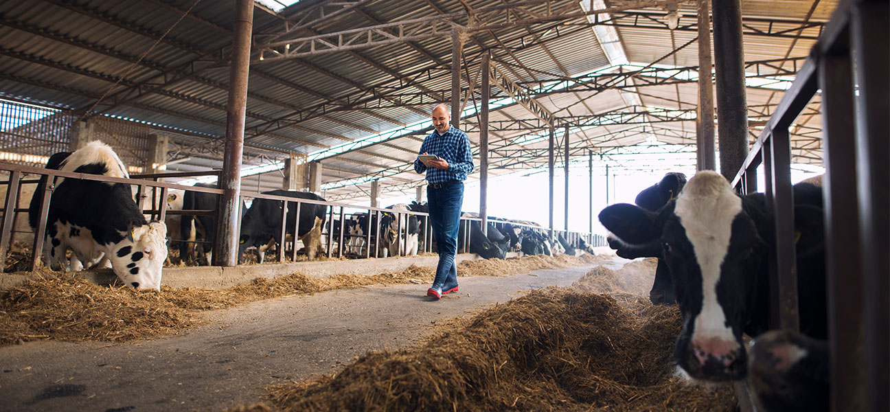 akilli-muhendislik-ile-surdurulebilir-ciftlikler-1